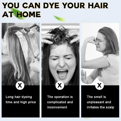 Instant Black Hair Dye Shampoo